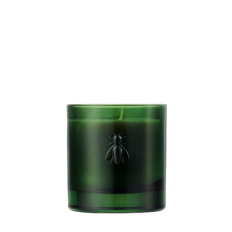 Vela de la abeja de higuera cedro