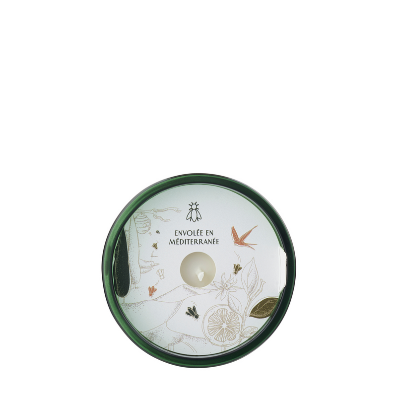Vela de la abeja de higuera cedro