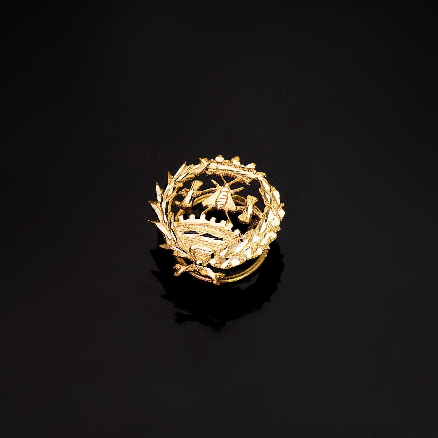 Insigne 18K Or Jaune Sciences Économiques 18 x 17 mm