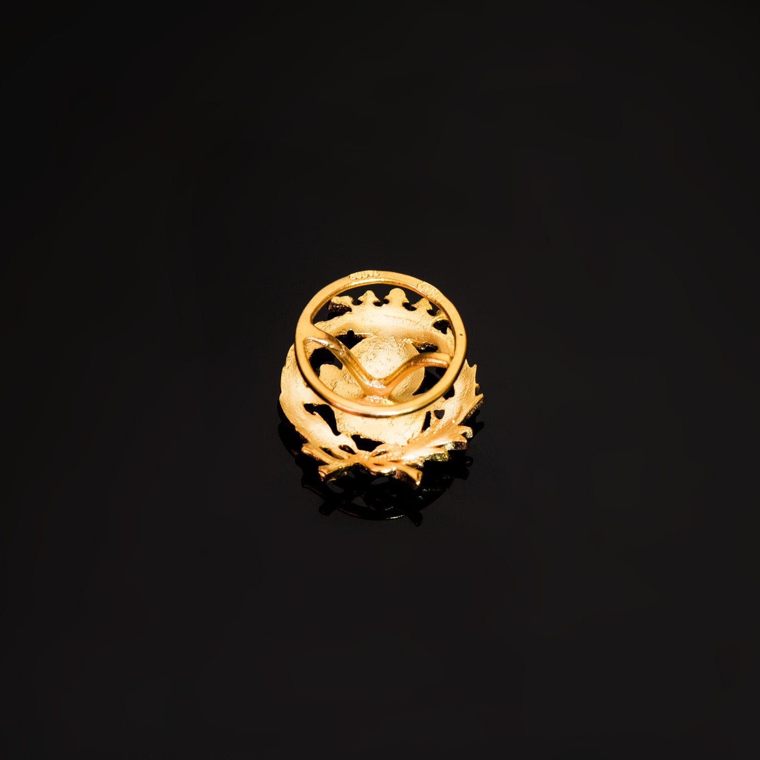 18K Insignia Oro Amarillo Geografia 17 x 14 mm