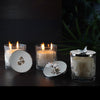 Dragonfly Candle Glass