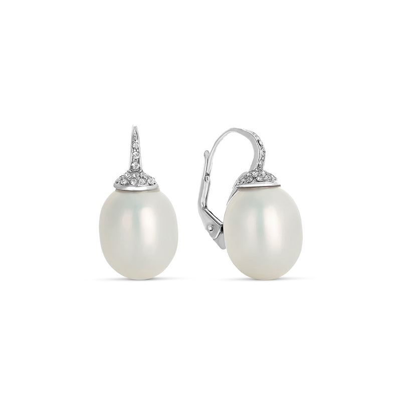 Pearl Shell Drop and Zircon Earrings in Silver
