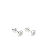 Small Square Shiny Silver Earrings